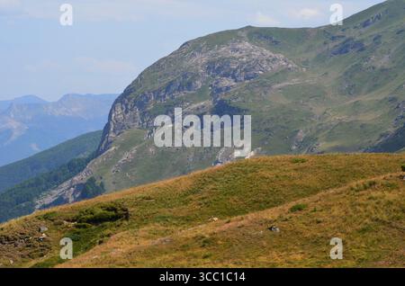Mavrovo Nationalpark in Nordmazedonien Stockfoto