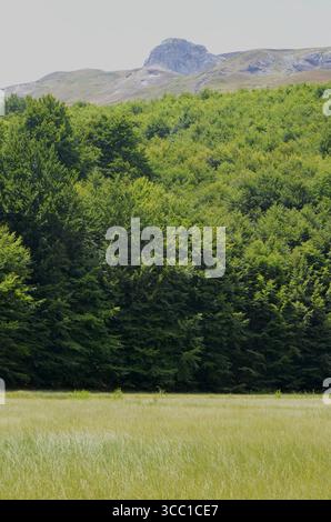 Mavrovo Nationalpark in Nordmazedonien Stockfoto