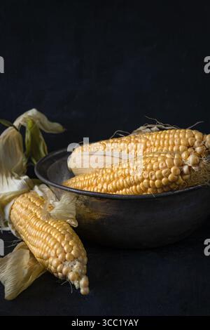 Nahaufnahme von frischen goldenen Maiskolben in einer rustikalen Metallschale, teilweise geschält, vor dunklem Hintergrund. Stockfoto