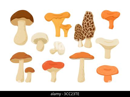Set von Speisepilzen. Illustration des Zeichentrickvektors. Cep, Boletus, Champignon, Chanterelle, Aspen, Morel, Oyster Russula, Niscalo. Herbsternte. Stock Vektor
