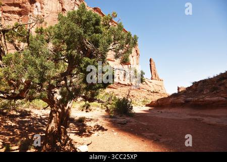 Geologie der Äonen. Wüstensandsteinklippen im Arches National Park, Utah. „Park Avenue“ führt durch ein altes Flussbett. Ein Hoodoo roc. Stockfoto