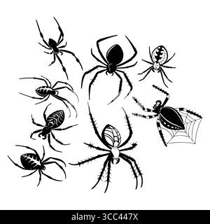 Schwarze Silhouettenabbildungen verschiedener Spinnenarten, die in Profil und Detail zu sehen sind Stock Vektor