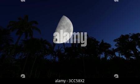 Großer Mond am Sternenhimmel Palmen Nachtlandschaft 3D-Rendering Stockfoto