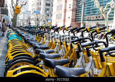 Fahrräder zum Verleih werden in Shanghai, China, am Straßenrand geparkt, um Komfort, Umwelt und gesundes Leben zu gewährleisten. Stockfoto