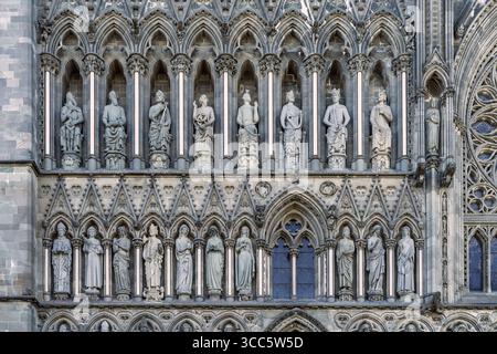 Majestätische Kathedrale im gotischen Stil mit komplexen architektonischen Details, beleuchtet von Sonnenlicht vor einem blauen Himmel, umgeben von Bäumen und einer offenen Kuhle Stockfoto