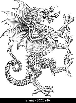 Wappenschild Aufzucht Heraldik Welsh Dragon Stock Vektor
