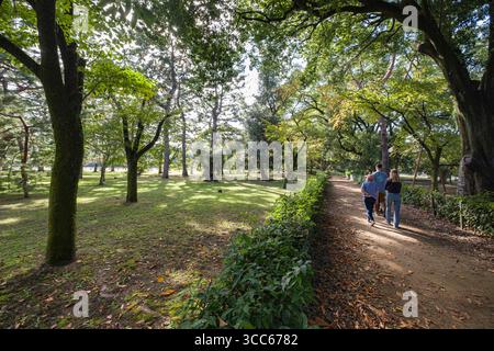 Eine Familie genießt einen gemütlichen Spaziergang auf einem sonnendurchfluteten Pfad im Kyoto Gyoen National Garden, umgeben von hohen Bäumen und lebhaftem Laub, der einen Moment fängt Stockfoto