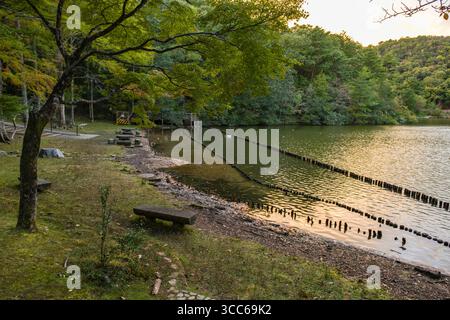 Eine friedliche Flusslandschaft mit üppigen grünen Bäumen, sanftem Wasser und rustikalen Bänken, die bei Sonnenuntergang festgehalten werden und Ruhe und eine ruhige Natur hervorrufen Stockfoto