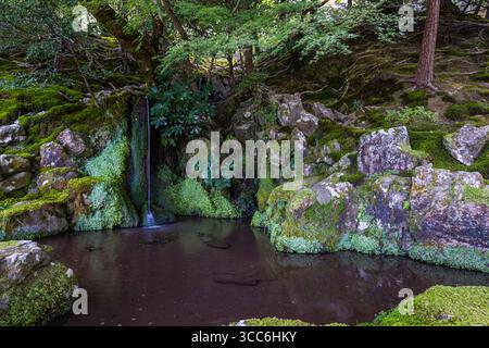 Eine ruhige Waldszene mit einem sanften Wasserfall, der über moosige Felsen stürzt. Üppiges Grün umgibt den Wasserfall und schafft eine friedliche und natura Stockfoto