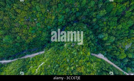 Luftbild von oben nach unten vom Miljacka River Canyon, der durch dichten Wald in Bosnien schneidet Stockfoto