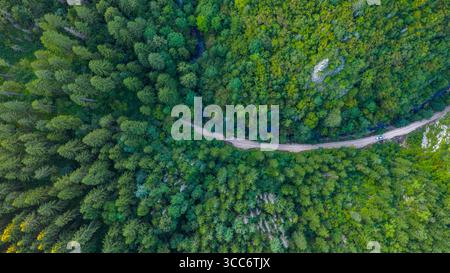 Aus der Vogelperspektive auf eine unbefestigte Straße, die dem Miljacka River Canyon folgt, umgeben von dicken Kiefern und Laubwäldern Stockfoto