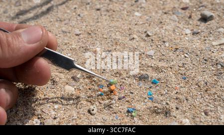 Untersuchung der Küstenverschmutzung: Makroaufnahme einer Pinzette, die sorgfältig ein einzelnes, winziges Mikroplastikfragment aus dem Sand aufnimmt und damit Wissenschaftler symbolisiert Stockfoto