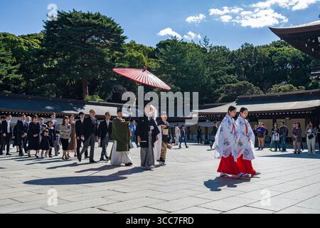 Prozession von Braut und Bräutigam während einer Shinto-Hochzeit am Meiji Jingu Shinto-Schrein, Yoyogikamizonocho, Shibuya City, Tokio, Kantō, Honshu, Japan Stockfoto