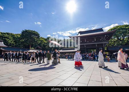 Prozession von Braut und Bräutigam während einer Shinto-Hochzeit am Meiji Jingu Shinto-Schrein, Yoyogikamizonocho, Shibuya City, Tokio, Kantō, Honshu, Japan Stockfoto