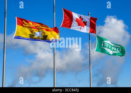 Saint John, NB, Kanada - 15. Februar 2025: Eine New Brunswick-Flagge, eine kanadische Flagge und eine Irving-Flagge fliegen nebeneinander im Wind. Stockfoto
