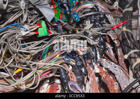 Mehrere angeschlossene Serverkabel in einem Verteilerkasten. Stockfoto