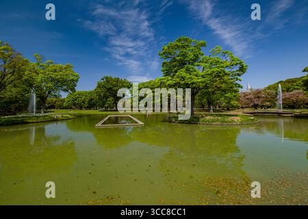 Brunnen im Teich im Yoyogi Park, Yoyogikamizonocho, Shibuya City, Tokio, Kantō, Honshu, Japan Stockfoto