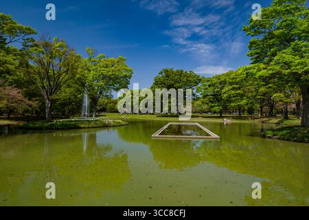 Brunnen im Teich im Yoyogi Park, Yoyogikamizonocho, Shibuya City, Tokio, Kantō, Honshu, Japan Stockfoto