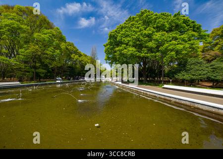 Wasserbrunnen mit flachem Pool im Yoyogi Park, Yoyogikamizonocho, Shibuya City, Tokio, Kantō, Honshu, Japan Stockfoto