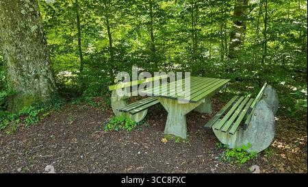 Der Tisch und zwei Bänke aus Beton und Metall befinden sich im Wald. Picknickplatz im Wald in Deutschland Stockfoto