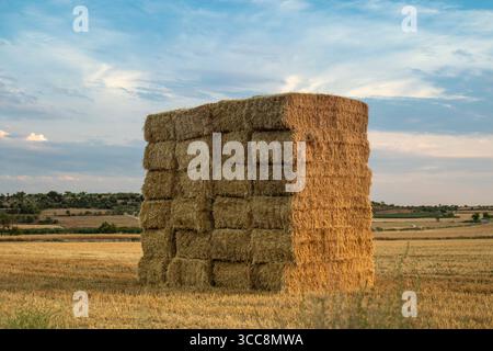Unter einem riesigen blauen Himmel mit Wolken ruhen goldene Heuballen in hübschen Türmen auf dem frisch geernteten Sommerfeld. Stockfoto