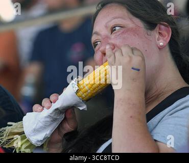EMPORIA KANSAS, USA - 9. AUGUST 2025 Frau genießt ein geröstetes Maisohr, während sie das Demolition Derby beobachtet, das die jährliche Lyon County Messe beendet, die eine große Menge von über tausend Fans anzog Stockfoto