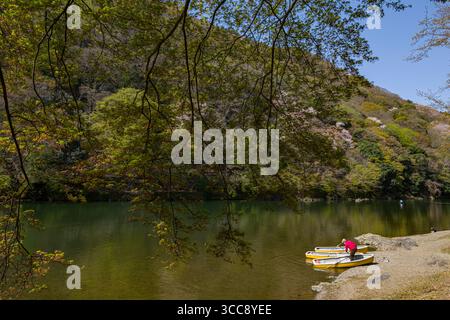 Kleine Ruderboote am Ufer des Flusses Katsura, Arashiyama Park Kameyama, Sagakamenoocho, Ukyo Ward, Kyoto, Kansai, Honshu, Japan Stockfoto