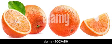Sammlung von Orangen isoliert auf weißem Hintergrund. Stockfoto