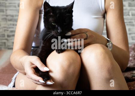 Ein Mädchen in einem weißen T-Shirt sitzt auf einem Sofa, hält eine schwarze Katze auf ihrem Schoß und stützt ihre Pfoten vorsichtig mit einer weißen Maniküre Stockfoto