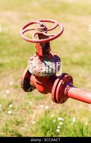 Altes rotes Gusseisenventil mit korrodierten Bolzen und abblätternder Farbe, fotografiert draußen an einem sonnigen Tag mit verschwommenem Grashintergrund. Selektiver Fokus. Stockfoto