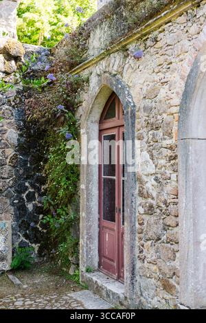 Bogenförmige Holztür in einer verwitterten Steinmauer mit Kletterpflanzen Stockfoto