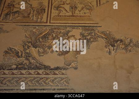 Zippori, Mona Lisa von Zippori, eine Schönheit, die mit dem griechischen Gott des Weines Dionysos auf einem Mosaikboden im Dionysoshaus zu sehen ist, könnte die Heimat des Rabbiners Judah HaNasi sein. Stockfoto
