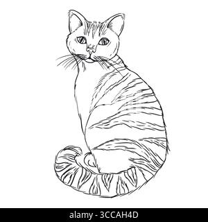 Eine gestreifte Katze, handgezeichnet in Tinte und in einen Vektor übersetzt. Vektorabbildung eignet sich zum Bedrucken von Verpackungen von Haustierprodukten, für Stock Vektor
