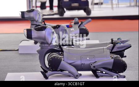 Peking, China. August 2025. Roboterhunde werden 2025 während der World Robot Conference (WRC) in Peking, der Hauptstadt Chinas, am 8. August 2025 ausgestellt. Quelle: Li Xin/Xinhua/Alamy Live News Stockfoto