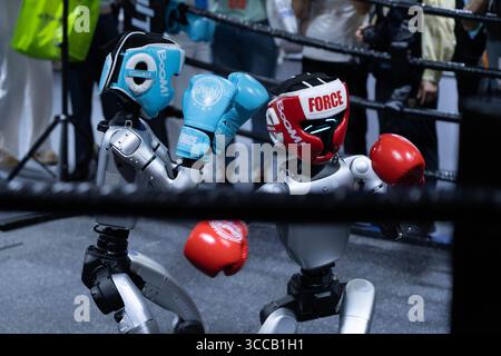 Peking, China. August 2025. Boxroboter werden 2025 auf der World Robot Conference (WRC) in Peking, Hauptstadt Chinas, am 8. August 2025 gezeigt. Quelle: Xie Han/Xinhua/Alamy Live News Stockfoto