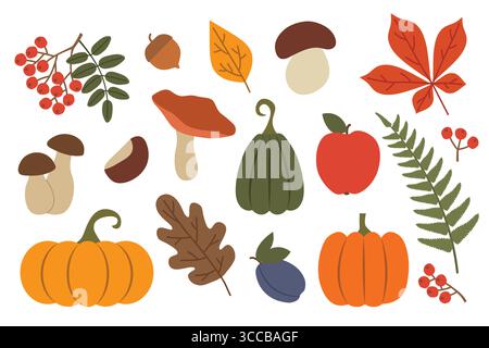 Ein Paket mit herbstlichen Designelementen: apfel, Pilze, Kürbisse, Pflaume, rowan, farn, Kastanie, Eichel und Blätter - Vektorillustration Stock Vektor