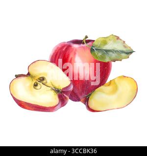 Aquarellillustration von roten Äpfeln mit Scheiben und einem grünen Blatt in realistischem Stil. Für Lebensmittelverpackungen, Saftmarkenetiketten für Bio-Produkte, Kochbücher, Küchendekor und saisonale Werbeaktionen. Stockfoto
