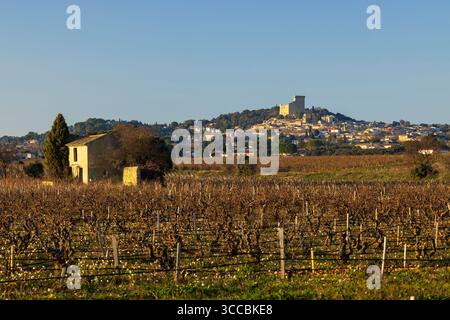 Typischer Weinberg mit Steinen in der Nähe von Chateauneuf-du-Pape, Cotes du Rhone, Frankreich Stockfoto