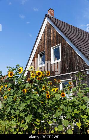 Häuser in der finnischen Siedlung (Finnensiedlung) im Kölner Hoehenhaus. Die Wohnsiedlung, komplett als gebaut Stockfoto