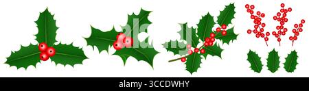 Stechpalme Set, weihnachtliche stechpalmenblätter, Zweige und rote Beeren Icon Kollektion, realistische 3D-Ilex-Dekoration auf isoliertem Hintergrund Stock Vektor