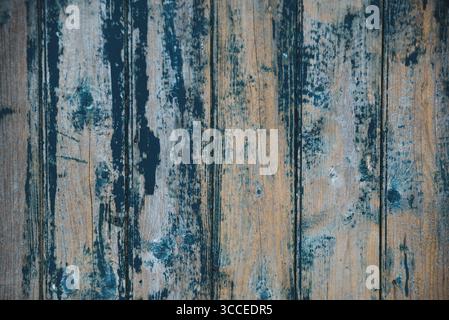 Rustikale Holzwand mit abblätternder blauer Farbe und strukturierter verwitterter Oberfläche. Die Farbe hat sich von der Holztür abgelöst und muss neu gestrichen werden Stockfoto