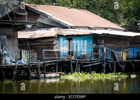 24. Februar 2023, Bangkok, Thailand: Jugendliche Cannabispflanzen werden in der Sonne auf der Straße gesehen. Das tägliche Leben um Lad Krabang, ein Wohnviertel in der Nähe des internationalen Flughafens Suvarnabhumi, in Ost-Bangkok, Thailand, am 24. Februar 2022. (Kreditbild: © Matt Hunt/ZUMA Press Wire) Stockfoto