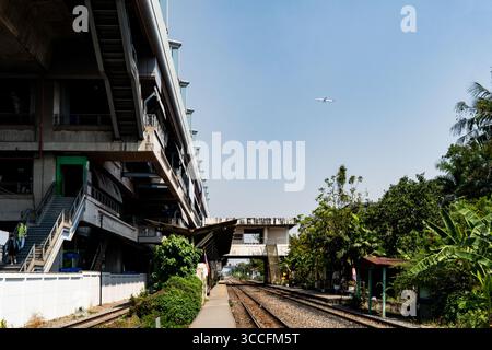 24. Februar 2023, Bangkok, Thailand: Jugendliche Cannabispflanzen werden in der Sonne auf der Straße gesehen. Das tägliche Leben um Lad Krabang, ein Wohnviertel in der Nähe des internationalen Flughafens Suvarnabhumi, in Ost-Bangkok, Thailand, am 24. Februar 2022. (Kreditbild: © Matt Hunt/ZUMA Press Wire) Stockfoto