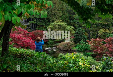Asticuou Gärten im Herbst. Stockfoto