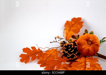 Orangefarbene Ahornblätter, Kürbis und Kiefernzapfen auf weißem Hintergrund Stockfoto