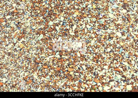 Textur und Hintergrund der Muscheln am Strand Stockfoto