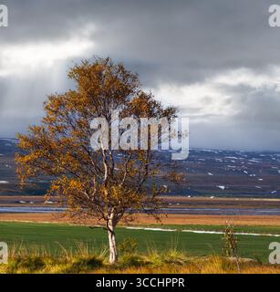 Wunderschöne Aussicht auf die Berge während einer Autotour in Nordisland. Spektakuläre isländische Landschaft mit landschaftlich reizvoller Natur: Berge, Felder, Wolken, Gletscher, R Stockfoto