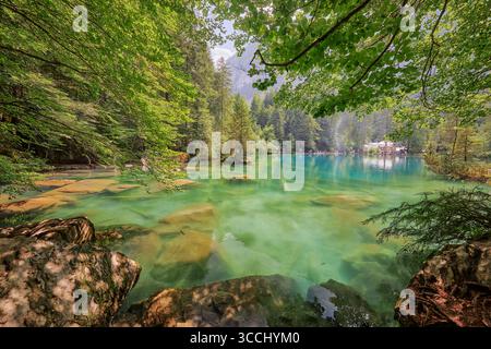 Ein ruhiger See mit kristallklarem türkisfarbenem Wasser spiegelt das lebhafte Grün der umliegenden Bäume wider. Felsige Formationen blicken durch die Surfa des Wassers Stockfoto