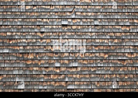 Verwitterte Zedernschindelwand mit rustikalem Holzseitenmuster, perfekt für Architekturprojekte im Außenbereich und Hintergründe mit organischer Textur Stockfoto