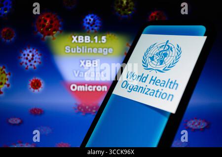 12. Januar 2023, Asuncion, Paraguay: Das Logo der Weltgesundheitsorganisation (WHO) auf einem Smartphone mit der Bezeichnung „Omicron, Variant XBB and its Subline XBB.1,5“ und visueller Darstellung des Virus. Der Omicron XBB.1,5 ist eine Sublinie von XBB, die nach Angaben DER WHO aus zwei BA.2-Sublinien rekombinant ist. (Bild: © Andre M. Chang/ZUMA Press Wire) Stockfoto